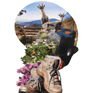 La tua Rapallo Camminare