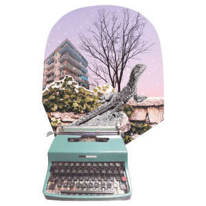 La tua Rapallo Leggere 1